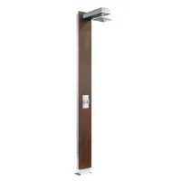 Pool shower - Tropical wood and stainless steel PLUVIUM AstralPool - 2