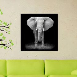 450W ELEPHANT Infrarot-Heizpaneel 00406 Gmr - Trading - 1